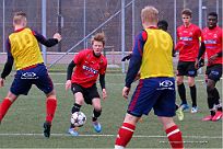 IMG 5924