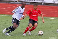 IMG 4418