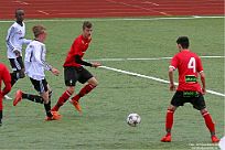 IMG 4441