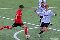 IMG 4442