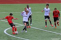 IMG 4443