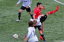 IMG 4447