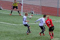 IMG 4464