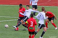 IMG 4486