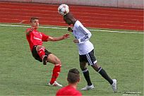 IMG 4487