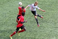 IMG 4537