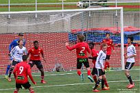 IMG 4541