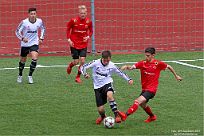 IMG 4555